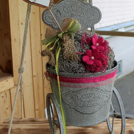 בית הארחה Galluszentrum *